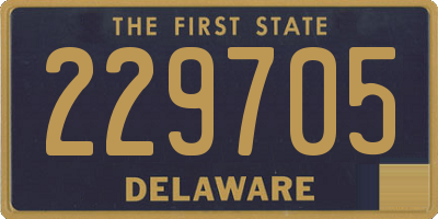 DE license plate 229705