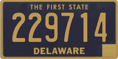 DE license plate 229714