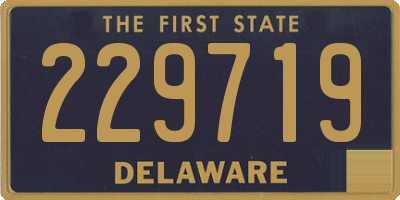 DE license plate 229719