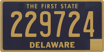 DE license plate 229724