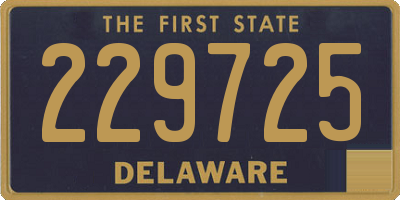 DE license plate 229725