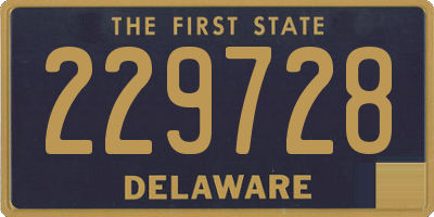 DE license plate 229728