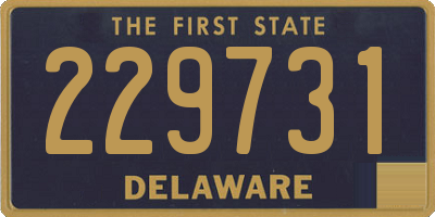 DE license plate 229731
