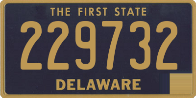 DE license plate 229732