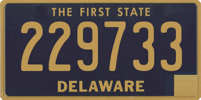 DE license plate 229733