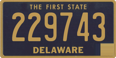 DE license plate 229743