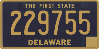 DE license plate 229755