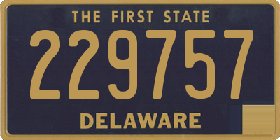 DE license plate 229757