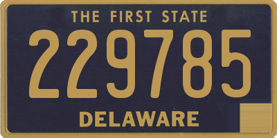 DE license plate 229785