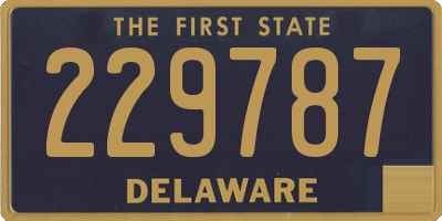DE license plate 229787