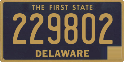 DE license plate 229802