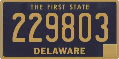 DE license plate 229803