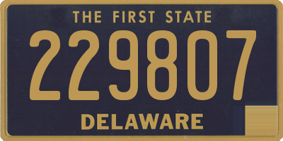 DE license plate 229807