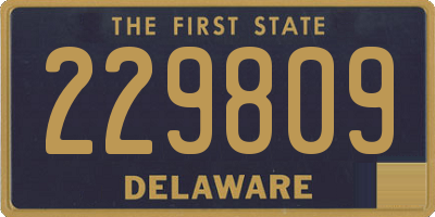 DE license plate 229809