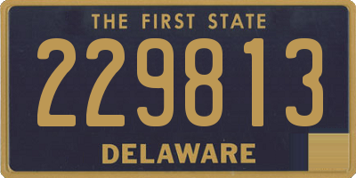 DE license plate 229813