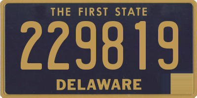 DE license plate 229819