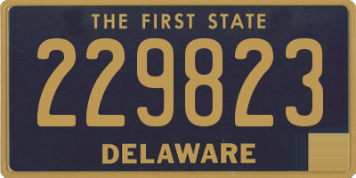 DE license plate 229823