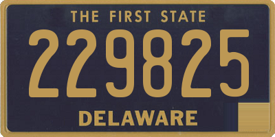 DE license plate 229825