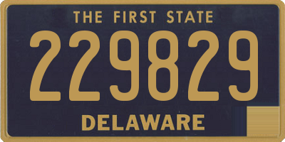 DE license plate 229829