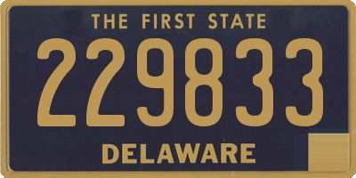 DE license plate 229833