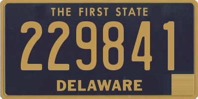 DE license plate 229841