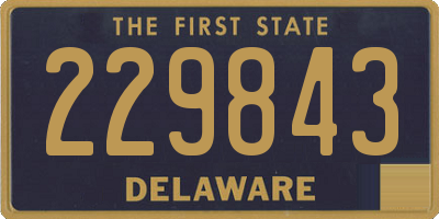 DE license plate 229843