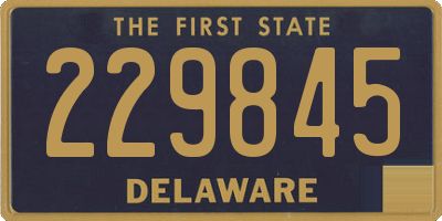 DE license plate 229845