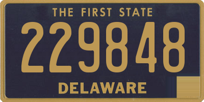 DE license plate 229848