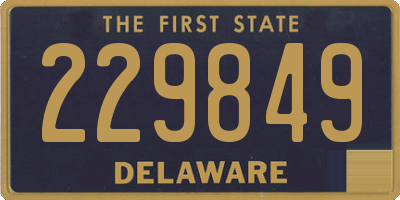 DE license plate 229849