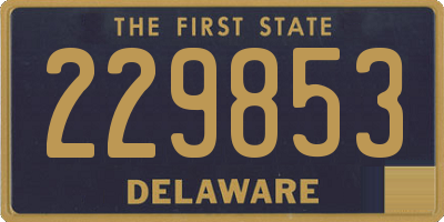 DE license plate 229853