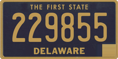 DE license plate 229855