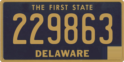 DE license plate 229863