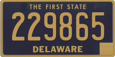 DE license plate 229865