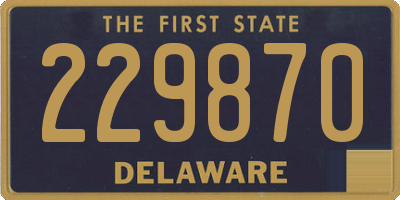 DE license plate 229870