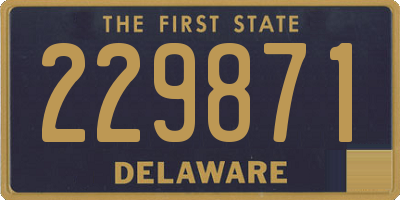 DE license plate 229871