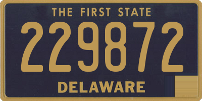 DE license plate 229872
