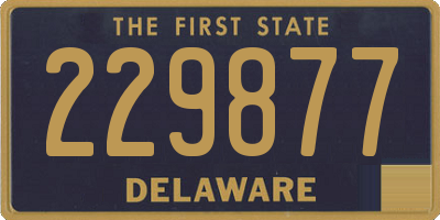 DE license plate 229877