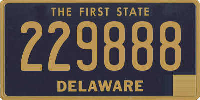 DE license plate 229888