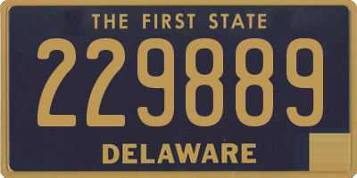 DE license plate 229889