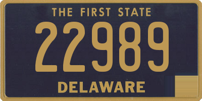 DE license plate 22989