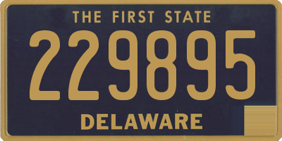 DE license plate 229895