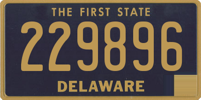 DE license plate 229896