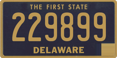 DE license plate 229899