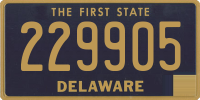 DE license plate 229905