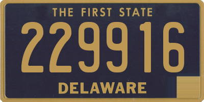 DE license plate 229916