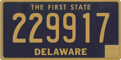 DE license plate 229917