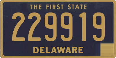 DE license plate 229919