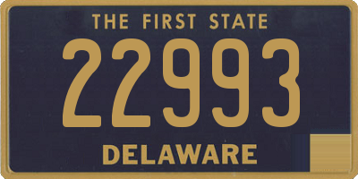 DE license plate 22993