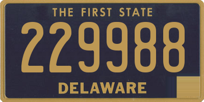 DE license plate 229988