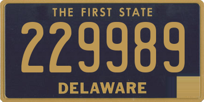 DE license plate 229989